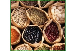 Насіння овочів